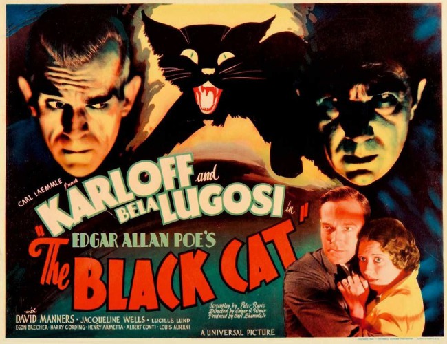 The Black Cat The Black Cat