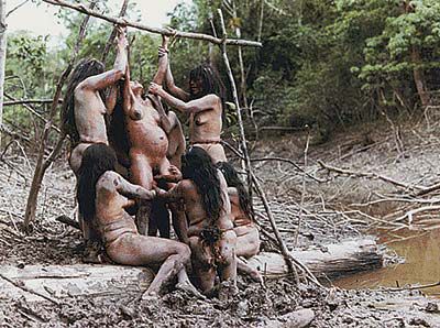 Jungle Holocaust