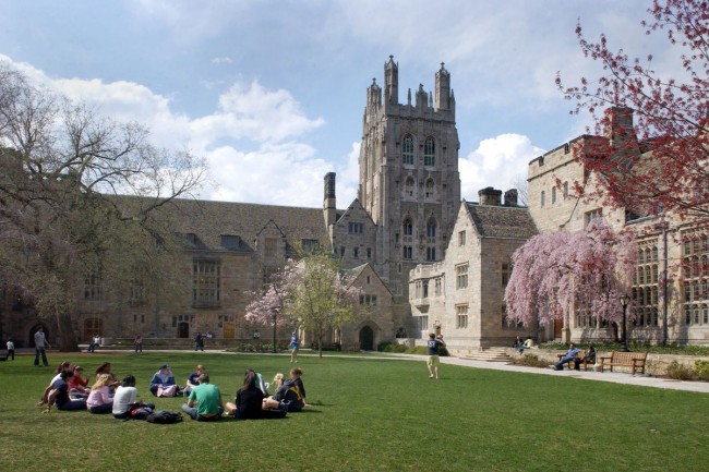 yale.jpeg