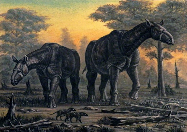 1280px-Paraceratherium transouralicum