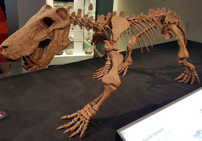 Inostrancevia skeletal mount