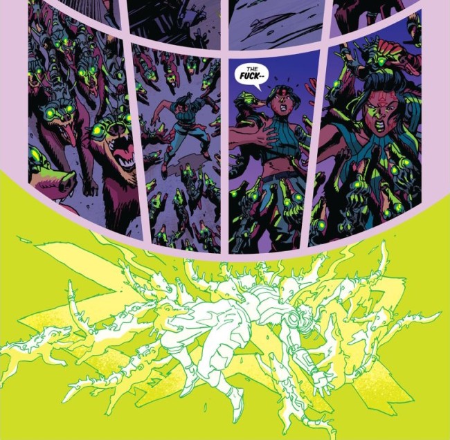 altiplano 05 possumid